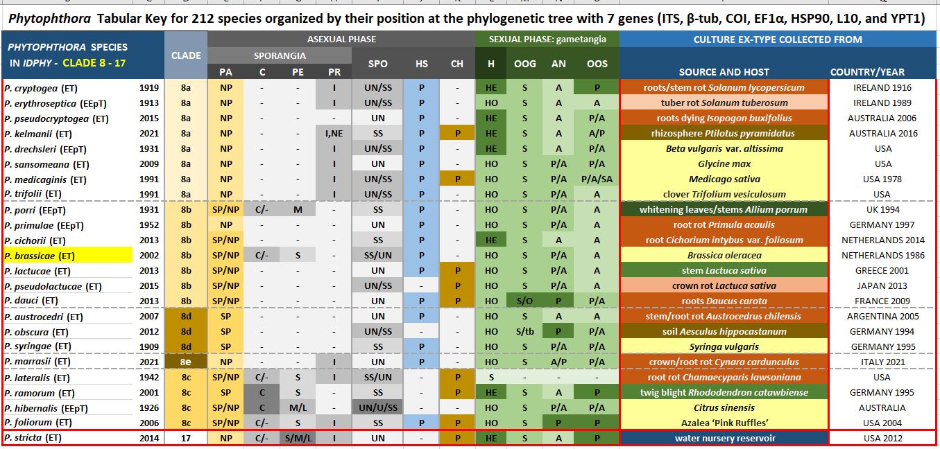    Phytophthora  spp. in subclade 8b:  Morphological Tabular key (PDF) and Tabular key legends (PDF) in IDphy2 KEY SECTION. Notice the data of   P. brassicae  Ex-type CBS 179.87 = Samp;T BL 8 . Gloria Abad, USDA Samp;T.
